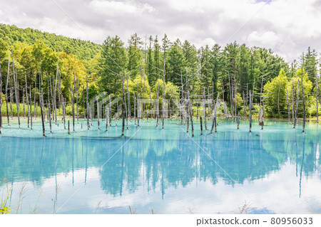 藍色池塘風景 藍色池塘風景 80956033