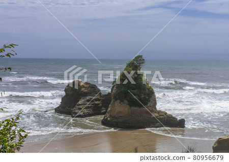 Gummy Island in Higashinamekawa Beach Green Area, Hitachi City, Ibaraki Prefecture 80956679