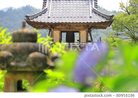 Sanmon Temple Gate and Hydrangea 80958186