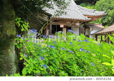 Sankoji main hall 80958188