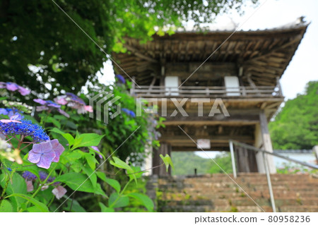 Mountain hydrangea and mountain gate 80958236
