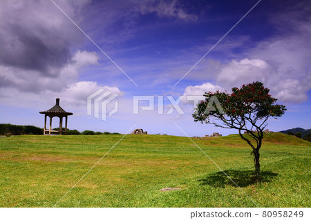 Seven-star Park 80958249