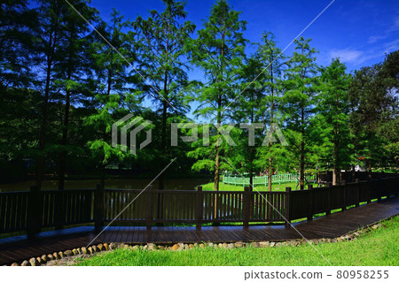 原住民公園 原住民公園 80958255