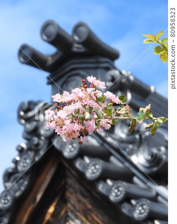 紫薇花（日本風景，背景是寺廟的 onigawara） 80958323