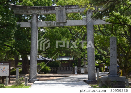 Summer Shoin Shrine Torii 80959286