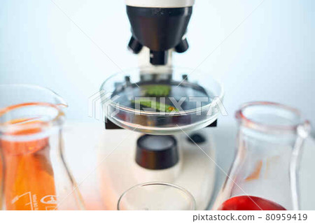 woman laboratory assistant microscope analyzes diagnostics biotechnology 80959419