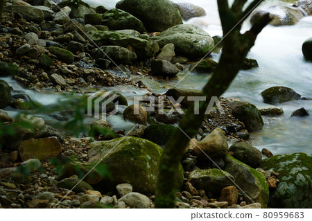 Riverbank in Nametoko Gorge, Kitauwa District, Ehime Prefecture Riverbank in Nametoko Gorge, Kitauwa District, Ehime Prefecture 80959683