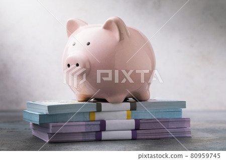 The piggy bank stands on the money. Concept on the topic of accumulating cash The piggy bank stands on the money. Concept on the topic of accumulating cash 80959745