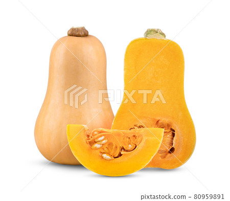 butternut squash isolated on white butternut squash isolated on white 80959891