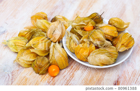 Physalis peruviana ripe fruits Physalis peruviana ripe fruits 80961388