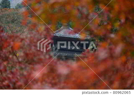Autumn leaves of Takasenji Autumn leaves of Takasenji 80962065