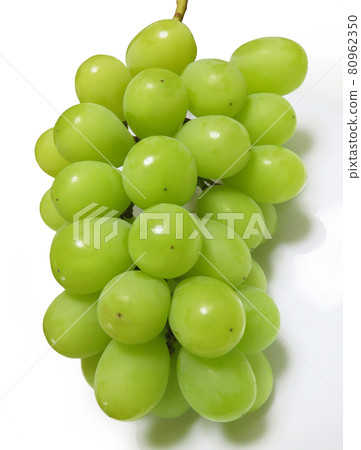 閃耀馬斯喀特 80962350