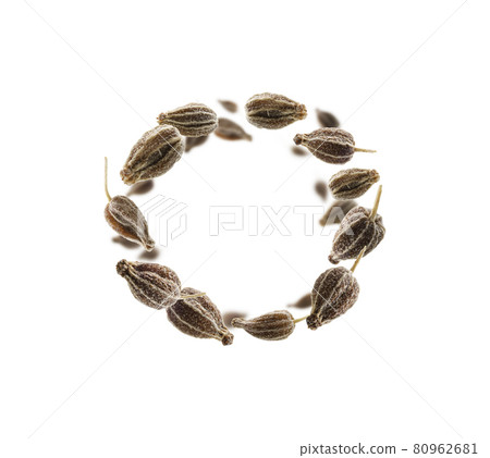 Anise seeds levitate on a white background Anise seeds levitate on a white background 80962681