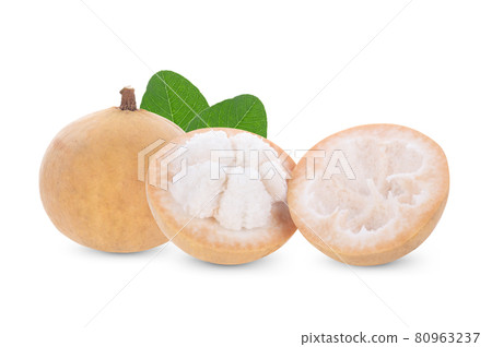santol fruit isolated on white background 80963237