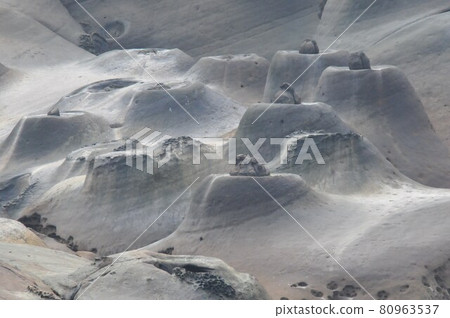 台灣，野柳，野柳地質公園，海岸奇石怪石，燭岩 80963537