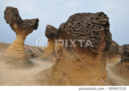 台灣，野柳，野柳地質公園，海岸奇石怪石，蘑菇岩 80963538