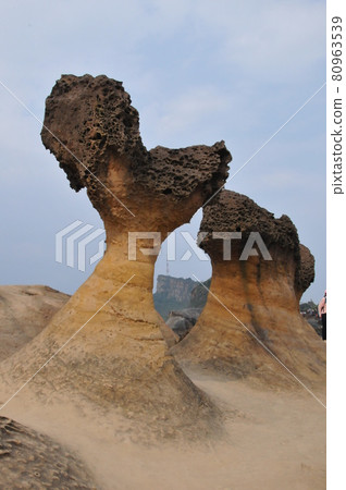 台灣，野柳，野柳地質公園，海岸奇石怪石，蘑菇岩 80963539