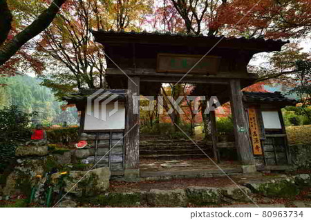 Autumn leaves of Takasenji Autumn leaves of Takasenji 80963734