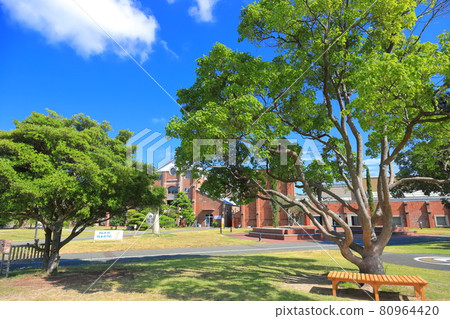 [Hyogo Prefecture] Sumoto City Sumoto Library in fine weather 80964420