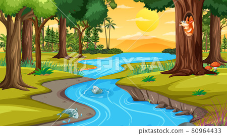 River through the forest scene at sunset time 80964433