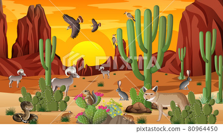 Desert forest landscape at sunset time scene with wild animals 80964450