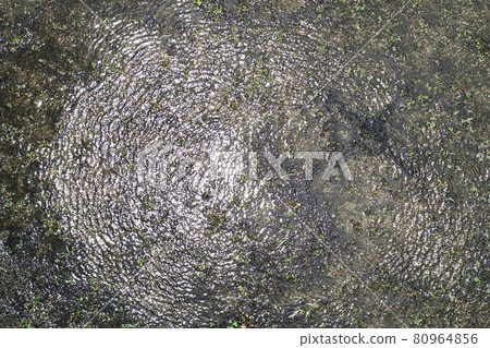 Ripples in a puddle 80964856