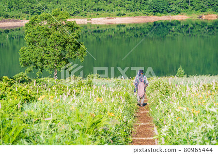 （群馬縣）湖畔垂釣者野佐里湖 80965444