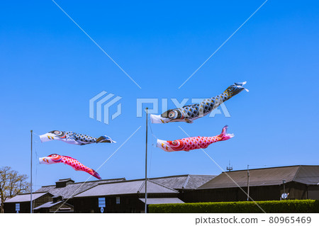半田運河半田倉庫鎮鯉魚旗愛知縣 半田運河半田倉庫鎮鯉魚旗愛知縣 80965469