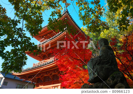 岡山縣總社市法福寺的重要文化遺產三重塔、紅葉、地藏山 岡山縣總社市法福寺的重要文化遺產三重塔、紅葉、地藏山 80966123