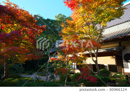 岡山縣總社市法福寺與般若禪院的深秋景象 岡山縣總社市法福寺與般若禪院的深秋景象 80966124