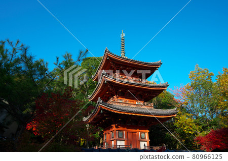 Hofukuji Temple's Important Cultural Property Mie Pagoda and the blue sky in late autumn Soja City, Okayama Prefecture 80966125