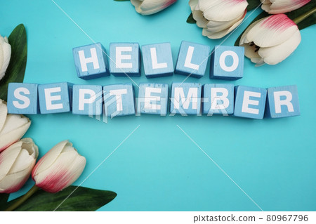 hello september alphabet letters with flower bouquet on blue background hello september alphabet letters with flower bouquet on blue background 80967796