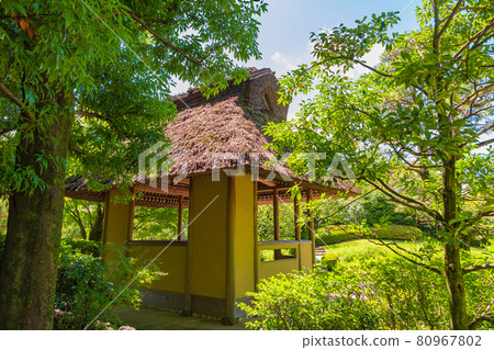 Jozanen,美麗的綠色日本花園<愛知縣安城市> Jozanen,美麗的綠色日本花園<愛知縣安城市> 80967802
