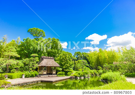 Jozanen, beautiful green Japanese garden <Anjo City, Aichi Prefecture> 80967803