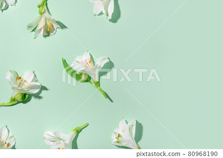 Fresh white flowers on a green background. 80968190