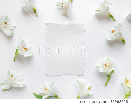 Fresh white flowers on a white background. 80968208