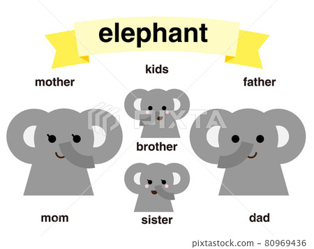 大象家族 80969436