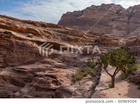 View of mountain canyon in Wadi Rum, Jordan. Red mountains against the blue sky 80969504