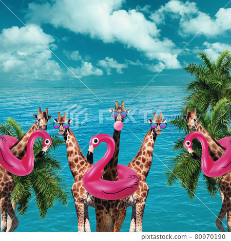 Funny artwork. Giraffes with sunglasses and swimming circles at the seaside 80970190