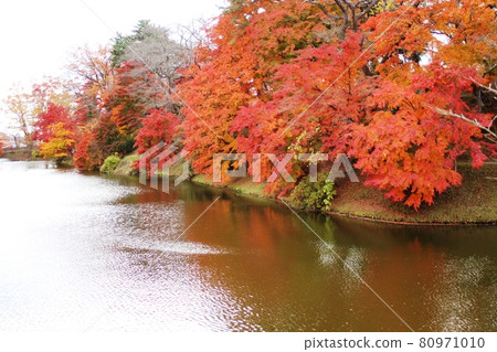 Autumn leaves reflected in the moat Tanagura Castle Ruins Autumn leaves reflected in the moat Tanagura Castle Ruins 80971010