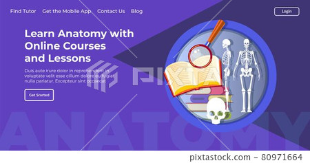 Learn anatomy with online courses and lessons Learn anatomy with online courses and lessons 80971664