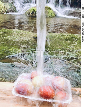 冷泉水和李子（取自羊蹄山腳下） 80971815