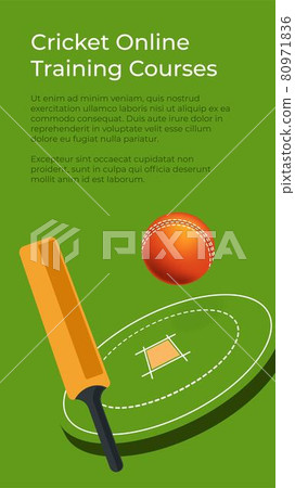 Cricket online training courses, learning to play 80971836
