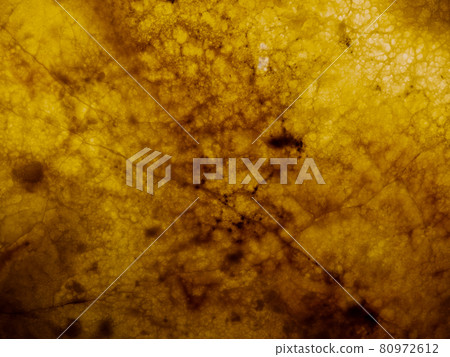 琥珀橙金裝飾 琥珀橙金裝飾 80972612