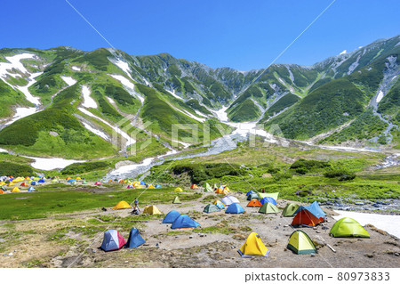 《Toyama Prefecture》 Fresh green Murodo / Tateyama Kurobe Alpine Route Raichosawa Campground 《Toyama Prefecture》 Fresh green Murodo / Tateyama Kurobe Alpine Route Raichosawa Campground 80973833