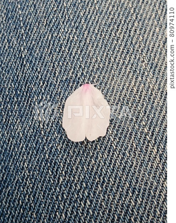 櫻桃花瓣 櫻桃花瓣 80974110