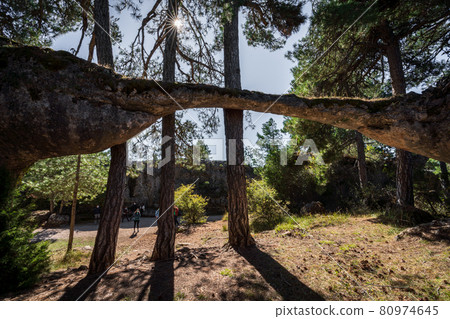 Unrecognizable blurred tourists visit iconic trees and boulder 80974645