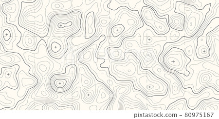 Geographic topographic map grid. Geographic topographic map grid. 80975167
