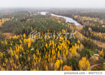 Aerial view of lake and colorful forests on a autumn day in Finland. Drone photography 80975515