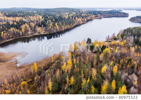 Aerial view of lake and colorful forests on a autumn day in Finland. Drone photography 80975522